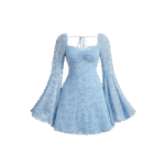 Baby Blue Floral Bell Sleeve Mini Dress